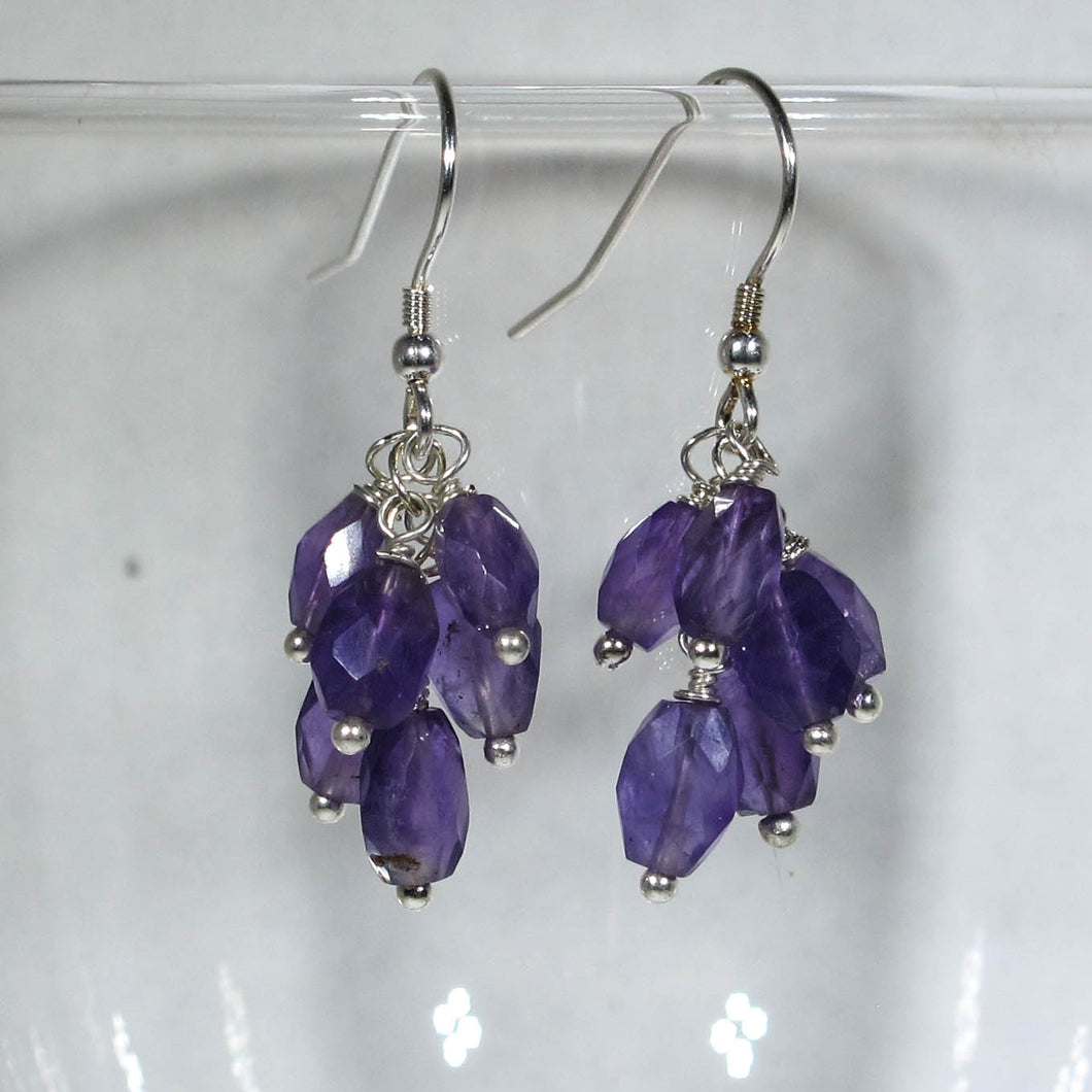 Gemstone Dangle Earrings/Amethyst