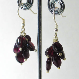Gemstone Dangle Earrings/Garnet