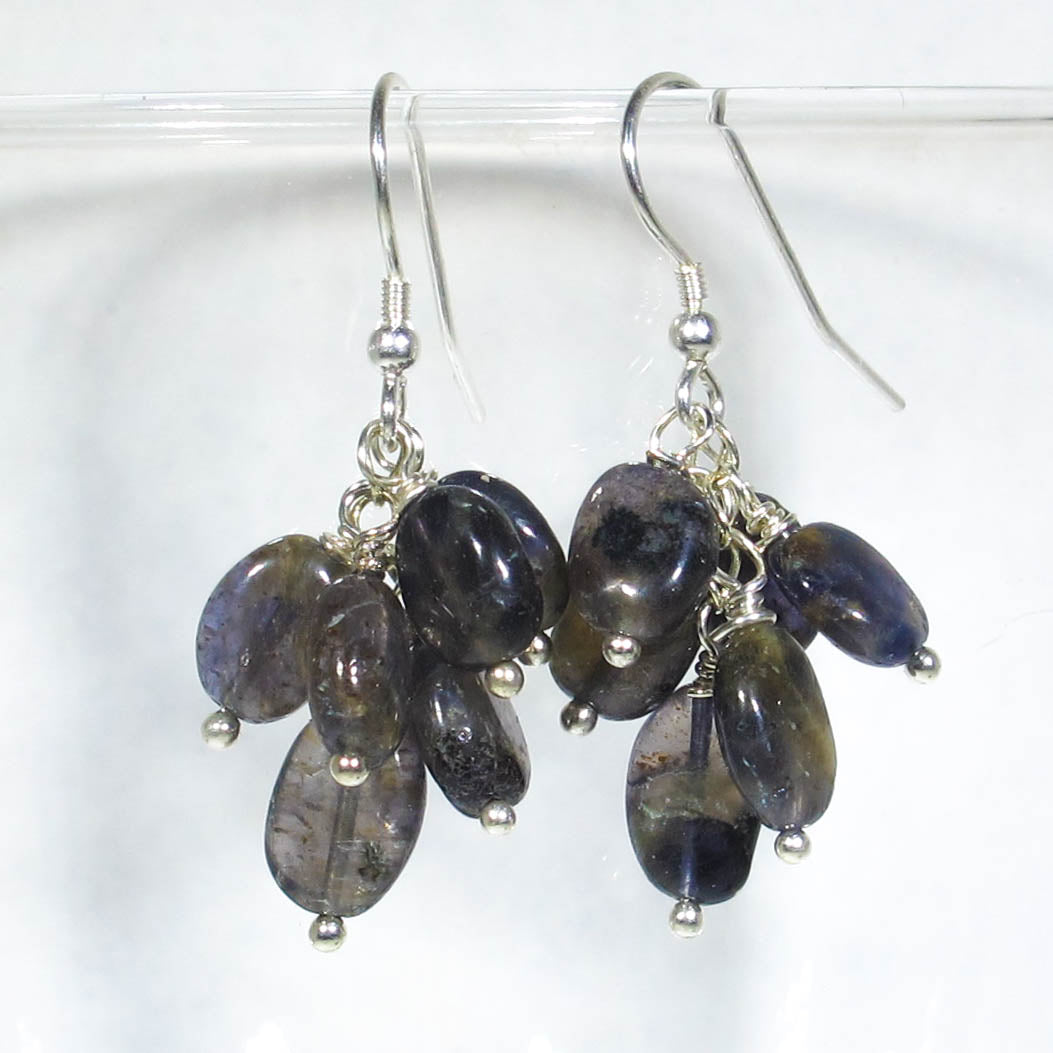 Gemstone Dangle Earrings/Iolite