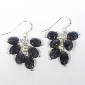 Gemstone Dangle Earrings/Iolite