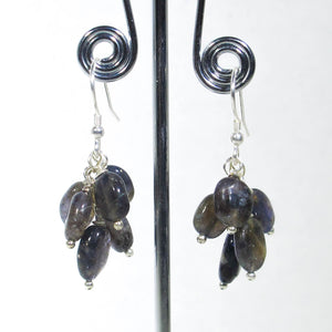 Gemstone Dangle Earrings/Iolite